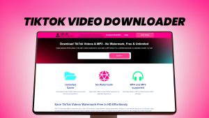 TikTok Video Downloader